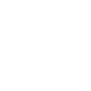 PZU